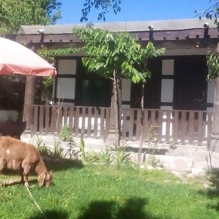 Resort Little Tibet Скарду Екстериор снимка